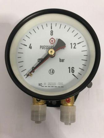 Model MYD Duplex Pressure Gauge