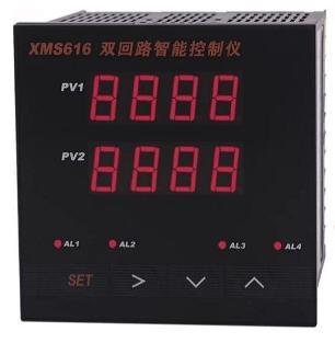 XMS6100 Dual Loops Input Indicator Controller